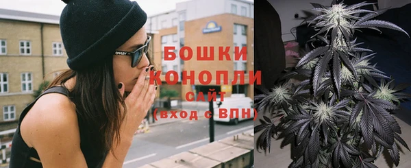 прущие грибы Лихославль