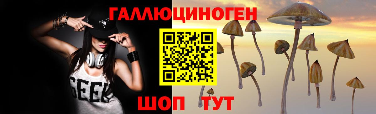 Псилоцибиновые грибы мицелий Тверь